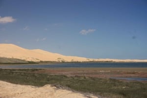 Self-Drive Guided Tour to Sandwich Harbour