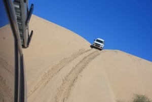Self-Drive Guided Tour to Sandwich Harbour