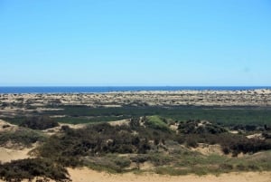 Self-Drive Guided Tour to Sandwich Harbour