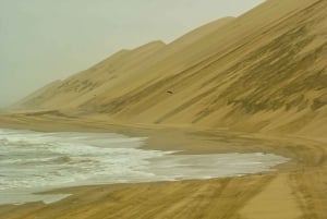Self-Drive Guided Tour to Sandwich Harbour