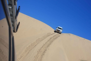 Self-Drive Namib Desert Adventure to Sandwich Bay