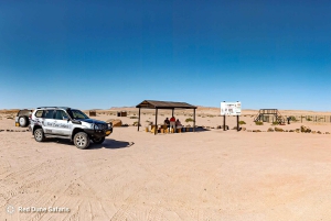 Shore Excursion: Flamingos, Dune 7, Swakopmund,Welwitshschia