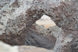 Cape Cross and Henties Bay Guided Tour SkeletonCoast Namibia