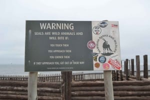 Cape Cross and Henties Bay Guided Tour SkeletonCoast Namibia