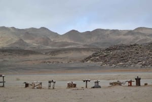 Cape Cross and Henties Bay Guided Tour SkeletonCoast Namibia