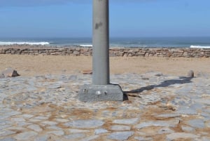 Cape Cross and Henties Bay Guided Tour SkeletonCoast Namibia