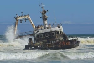 Cape Cross and Henties Bay Guided Tour SkeletonCoast Namibia