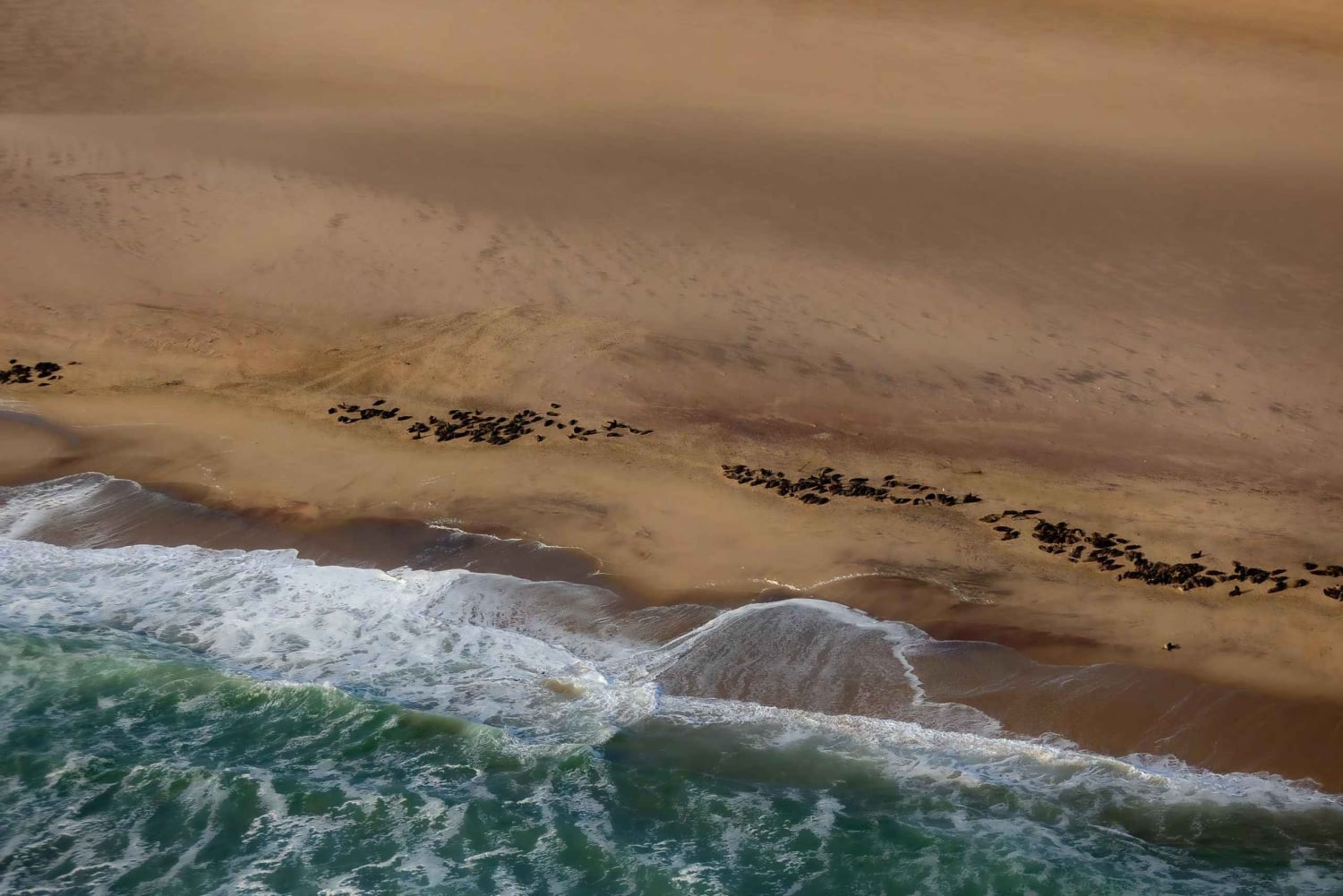 Skeleton Coast Park & Ship Wrecks