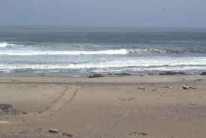Skeleton Coast Park & Ship Wrecks