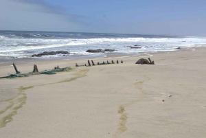 Skeleton Coast Park & Ship Wrecks