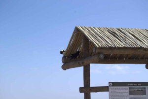 Skeleton Coast Park & Ship Wrecks
