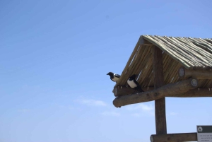 Skeleton Coast Park & Ship Wrecks