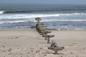 Skeleton Coast Park & Ship Wrecks