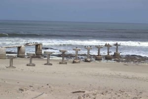 Skeleton Coast Park & Ship Wrecks