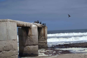 Skeleton Coast Park & Ship Wrecks