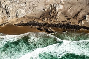 Skeleton Coast Ultimate Adventure: transport and tour