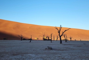 Sossusvlei: 4x4 Drive 3-Day Sossusvlei Adventure