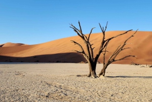 Sossusvlei: 4x4 Drive 3-Day Sossusvlei Adventure