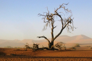 Sossusvlei: 4x4 Drive 3-Day Sossusvlei Adventure