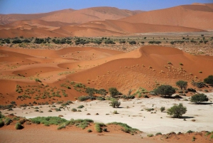 Sossusvlei Guided Camping Tour for 3 days