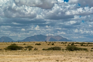 Spitzkoppe Guided Day Tour