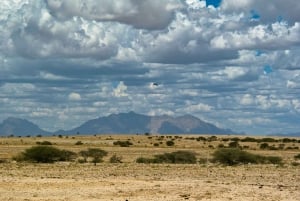 Iconic Spitzkoppe : via Zeila Shipwreck