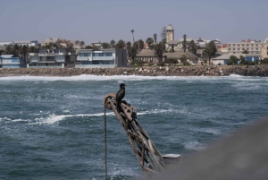 Swakop City Tour & Craft Beer Tasting