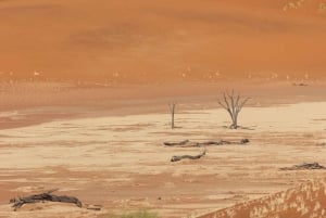 Swakopmund: 3-Day Namib Signature Desert Tour