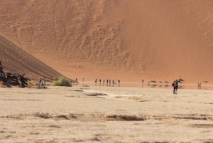 Swakopmund: 3-Day Namib Signature Desert Tour