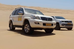 Swakopmund: 4x4 Sand Dune Driving Lessons with Instructor
