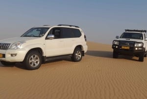 Swakopmund: 4x4 Sand Dune Driving Lessons with Instructor