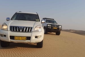 Swakopmund: 4x4 Sand Dune Driving Lessons with Instructor