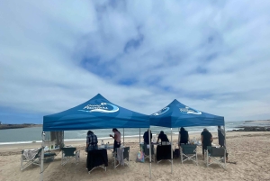 Swakopmund: Beach Painting Session with Artist Guide