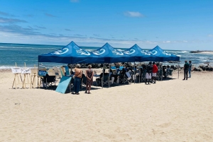 Swakopmund: Beach Painting Session with Artist Guide