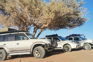 swakopmund city tour dune 7 pink lake pink flamingos