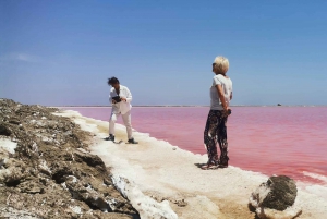 swakopmund city tour dune 7 pink lake pink flamingos