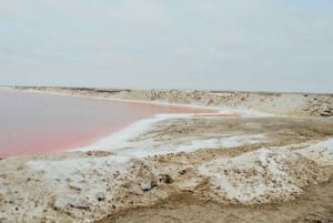 Swakopmund Day Trip with Quad Biking from Windhoek