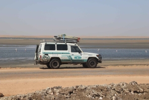 Swakopmund: Group Intermediate Surfing Session