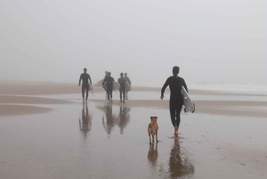 Swakopmund: Group Intermediate Surfing Session