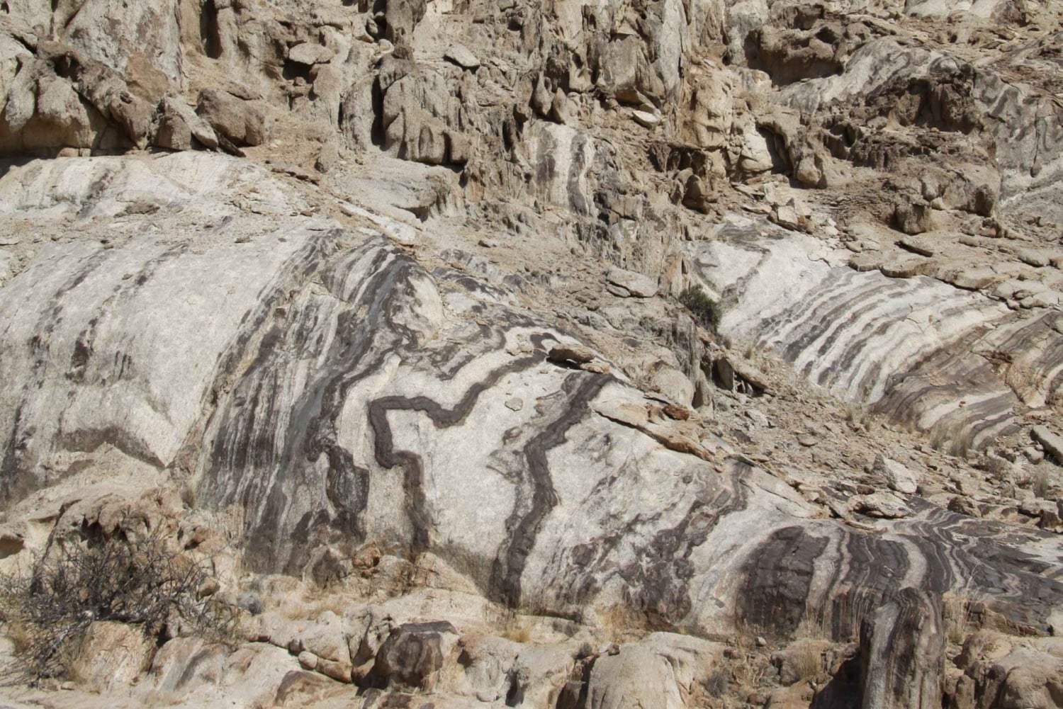 Swakopmund: Moon Valley and Namib Desert Welwitschia Tour