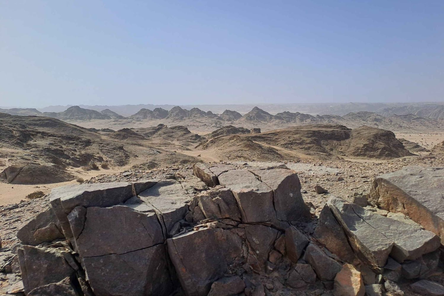 Swakopmund: Moon Valley and Namib Desert Welwitschia Tour