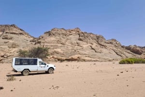 Swakopmund: Moon Valley and Namib Desert Welwitschia Tour