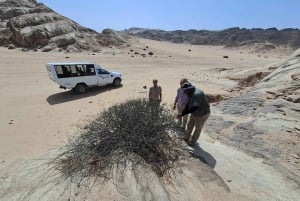 Swakopmund: Moon Valley and Namib Desert Welwitschia Tour