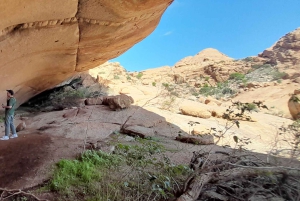 Swakopmund: Moonvalley, Spitzkoppe and Shipwreck Combo Tour