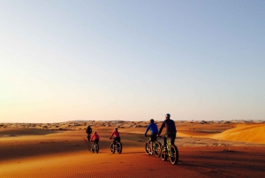 Swakopmund: Scenic Desert Bike Tour