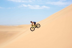 Swakopmund: Scenic Desert Bike Tour