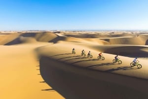 Swakopmund: Scenic Desert Bike Tour