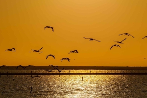 Swakopmund Sunset Magic – Desert Glow, Ocean Dreams