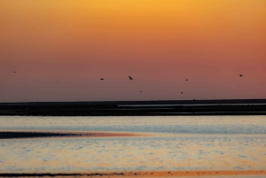 Swakopmund Sunset Magic – Desert Glow, Ocean Dreams