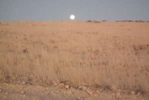 Swakopmund Sunset Magic – Desert Glow, Ocean Dreams